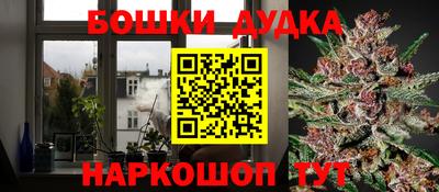 хмурый Дубна