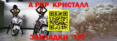 кокс Донской