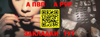 кокс Донской